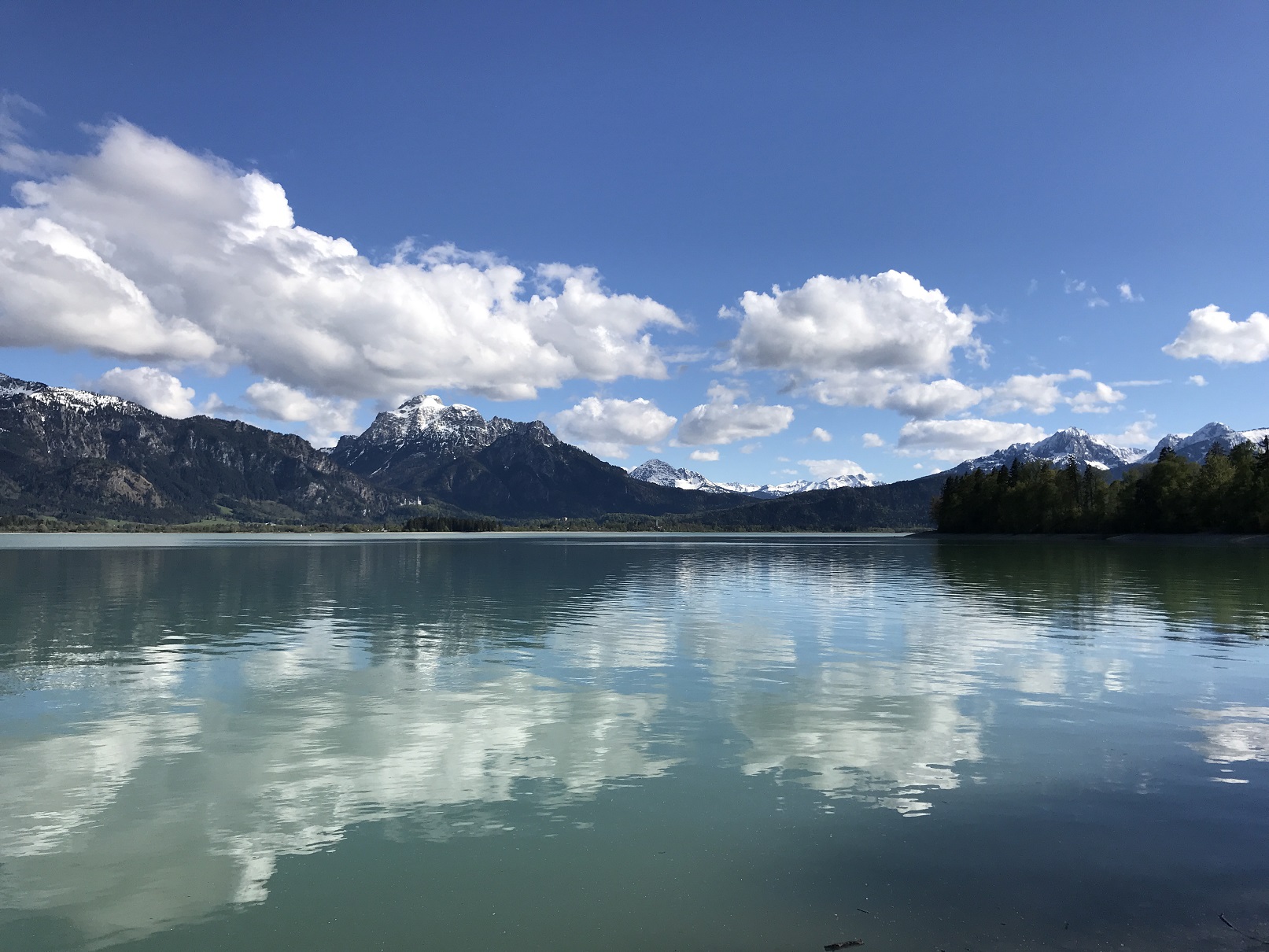 Forggensee